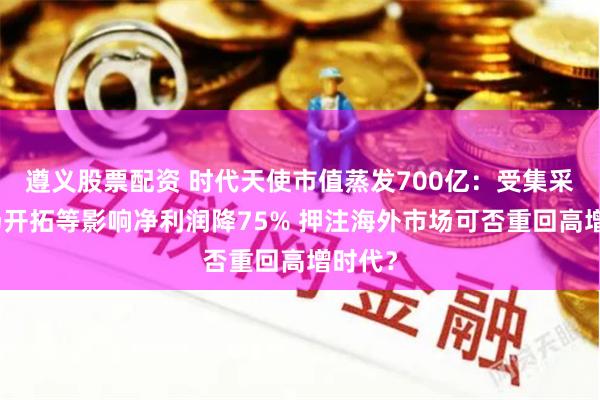 遵义股票配资 时代天使市值蒸发700亿：受集采、市场开拓等影响净利润降75% 押注海外市场可否重回高增时代？